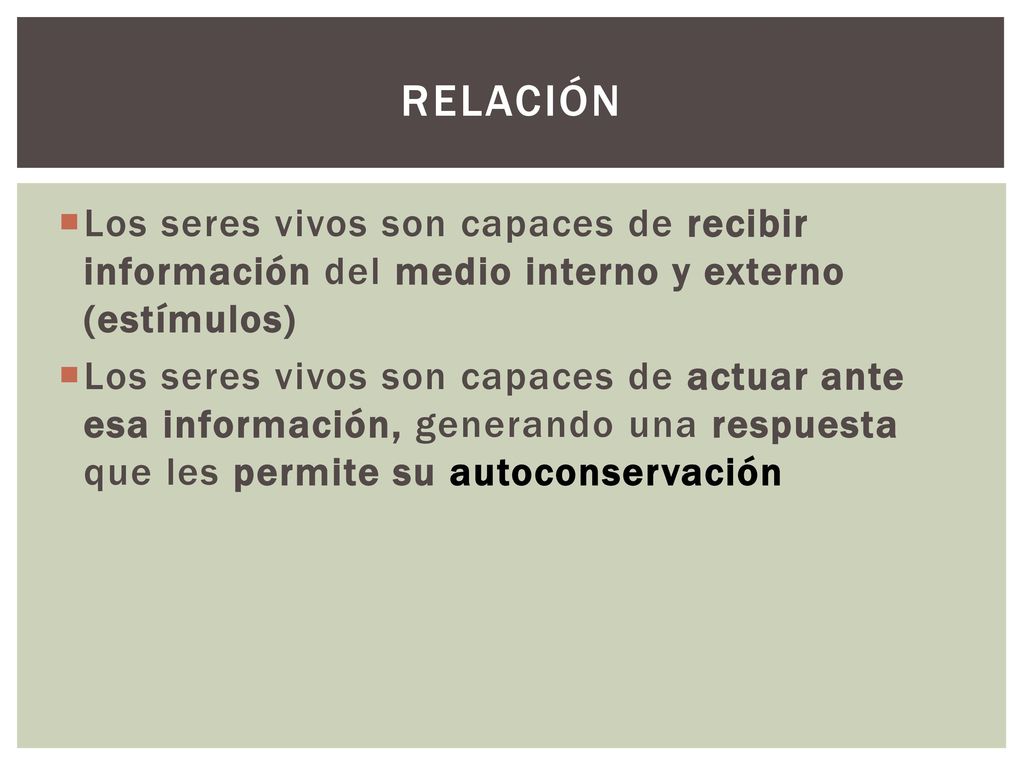 RELACIÓN Los seres vivos son capaces de recibir información del medio interno y externo (estímulos)