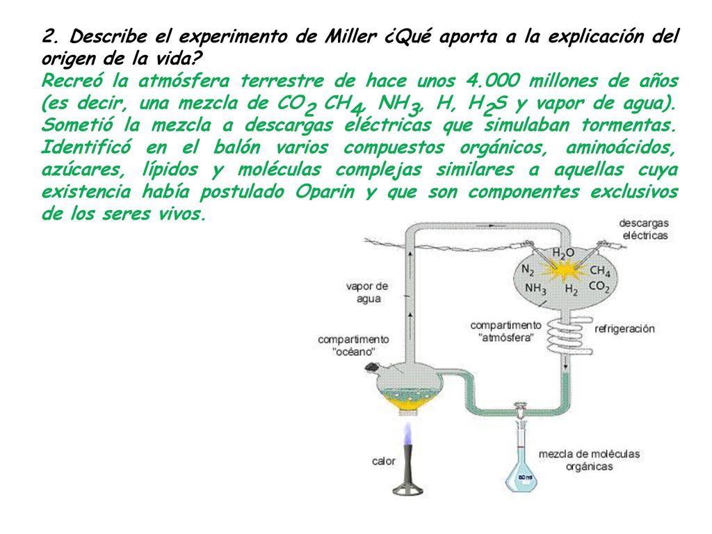 2. Describe el experimento de Miller ¿Qué aporta a la explicación del origen de la vida
