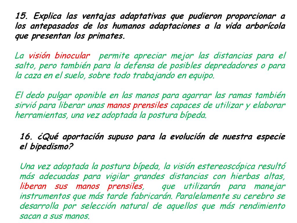 15. Explica las ventajas adaptativas que pudieron proporcionar a los antepasados de los humanos adaptaciones a la vida arborícola que presentan los primates.