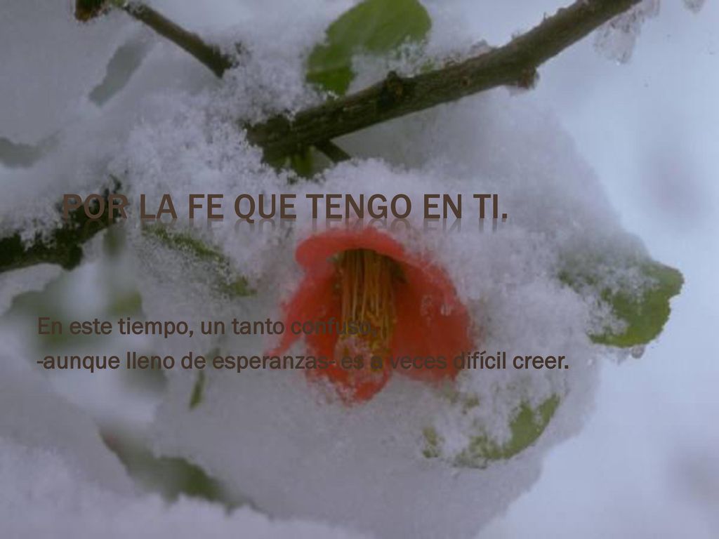 Por la fe que tengo en ti. En este tiempo, un tanto confuso,