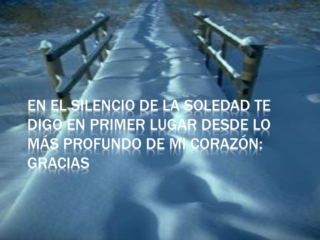 En el silencio de la soledad te digo en primer lugar desde lo más profundo de mi corazón: Gracias