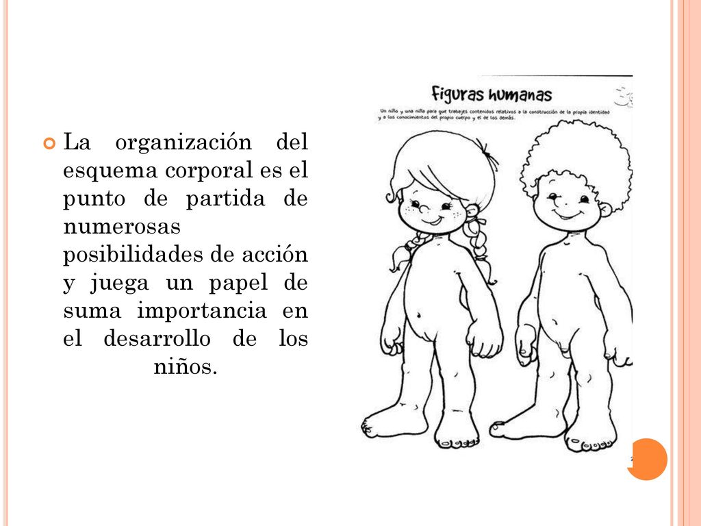 La organización del esquema corporal es el punto de partida de numerosas posibilidades de acción y juega un papel de suma importancia en el desarrollo de los niños.