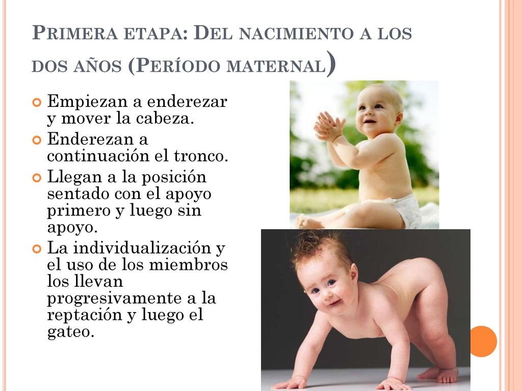 Primera etapa: Del nacimiento a los dos años (Período maternal)