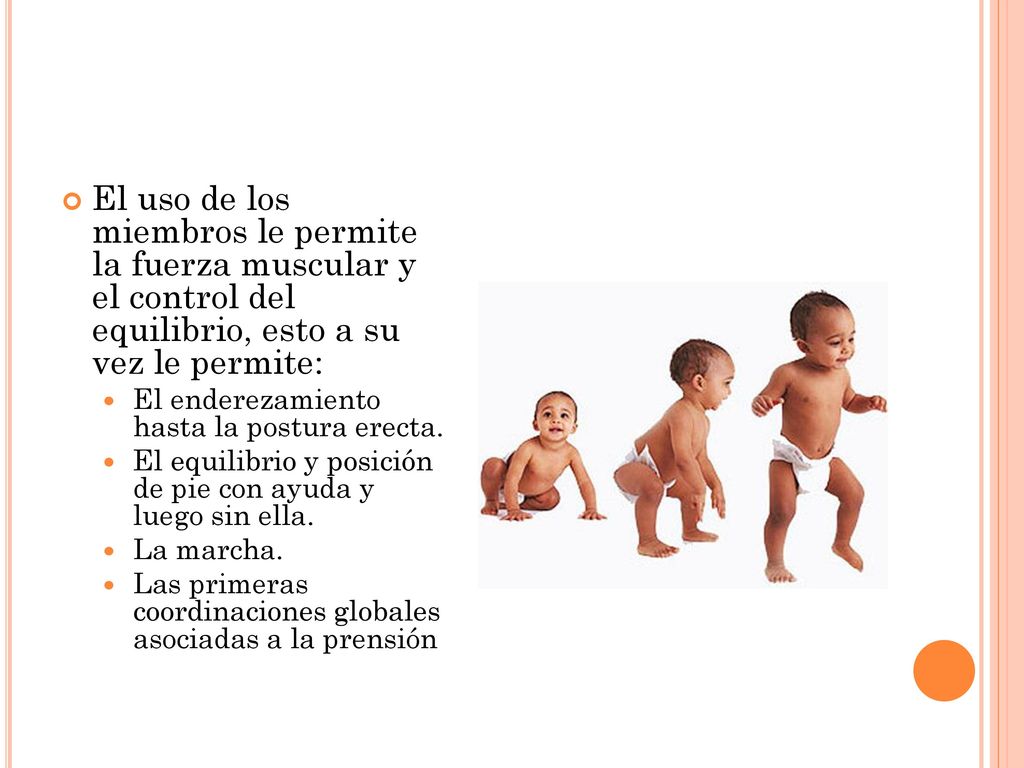 El uso de los miembros le permite la fuerza muscular y el control del equilibrio, esto a su vez le permite: