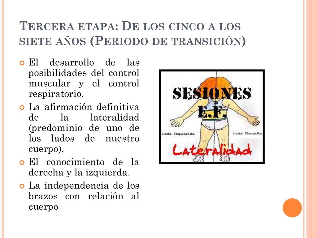 Tercera etapa: De los cinco a los siete años (Periodo de transición)