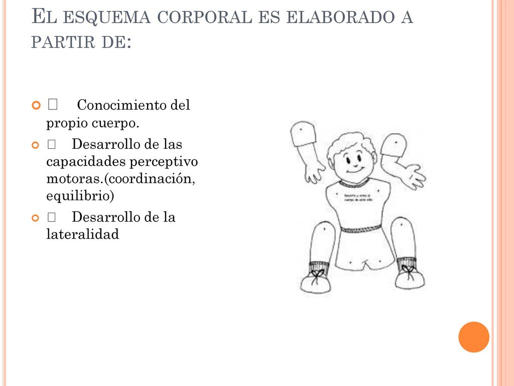 El esquema corporal es elaborado a partir de: