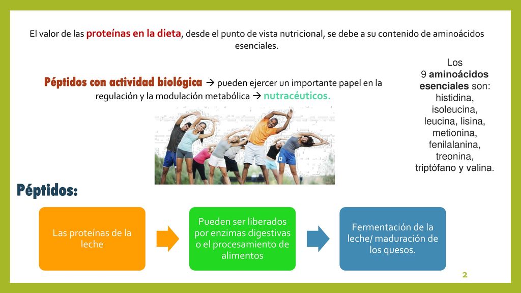 El valor de las proteínas en la dieta, desde el punto de vista nutricional, se debe a su contenido de aminoácidos esenciales.