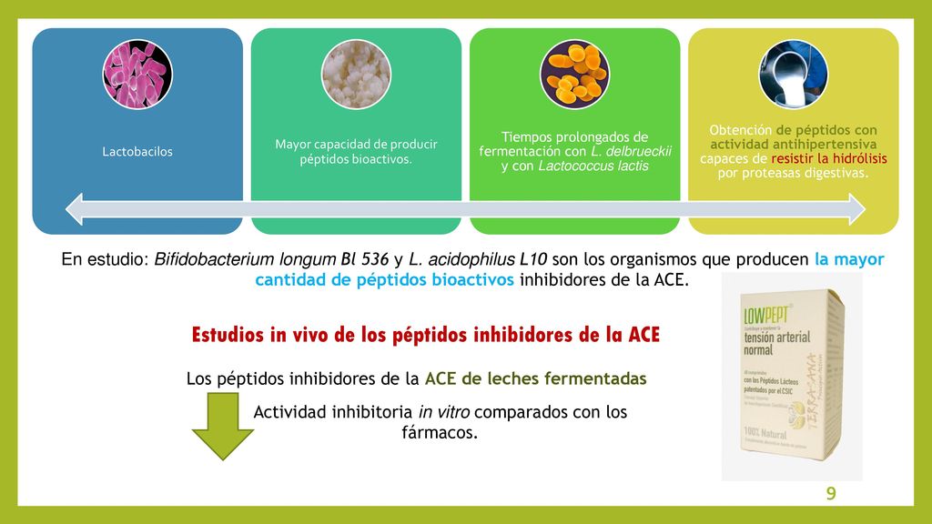 Estudios in vivo de los péptidos inhibidores de la ACE
