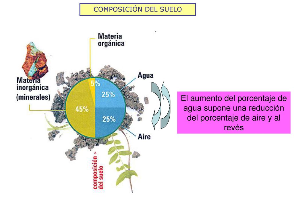 COMPOSICIÓN DEL SUELO El aumento del porcentaje de agua supone una reducción del porcentaje de aire y al revés.