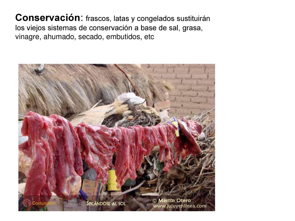 Conservación: frascos, latas y congelados sustituirán los viejos sistemas de conservación a base de sal, grasa, vinagre, ahumado, secado, embutidos, etc