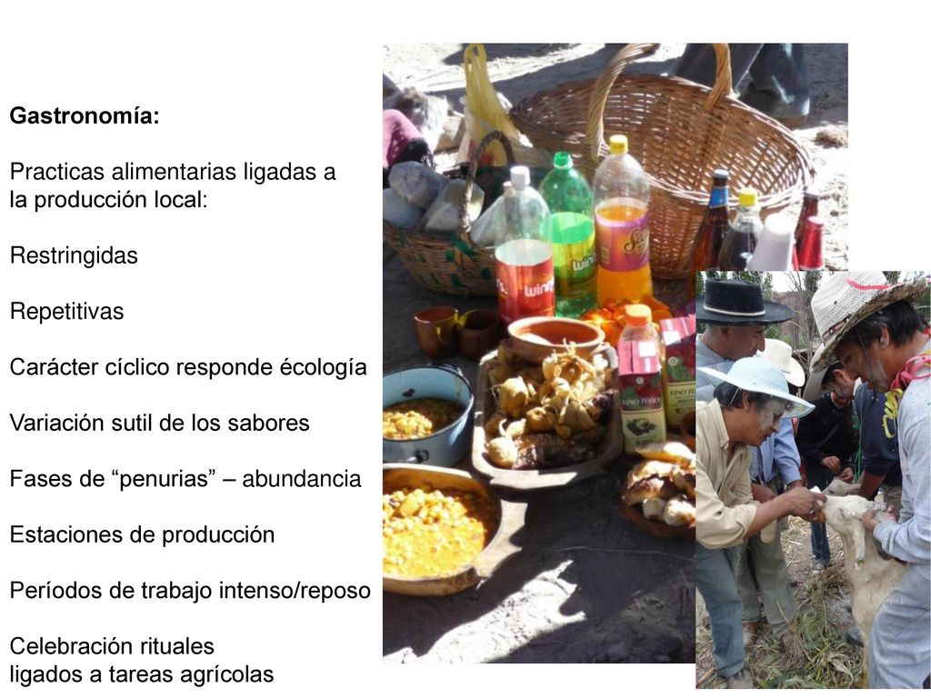 Gastronomía: Practicas alimentarias ligadas a. la producción local: Restringidas. Repetitivas. Carácter cíclico responde écología.
