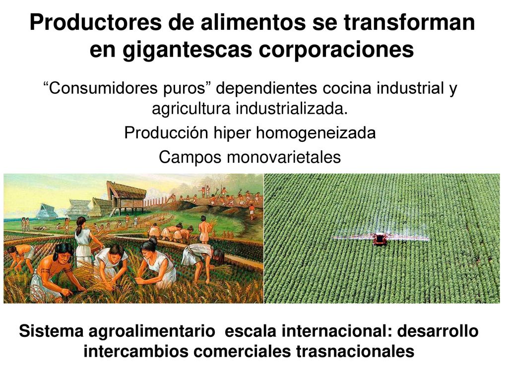 Productores de alimentos se transforman en gigantescas corporaciones
