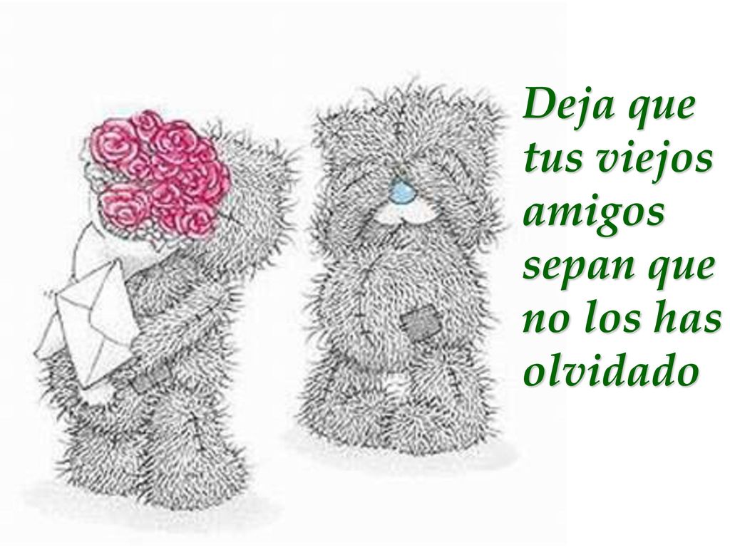 Deja que tus viejos amigos sepan que no los has olvidado