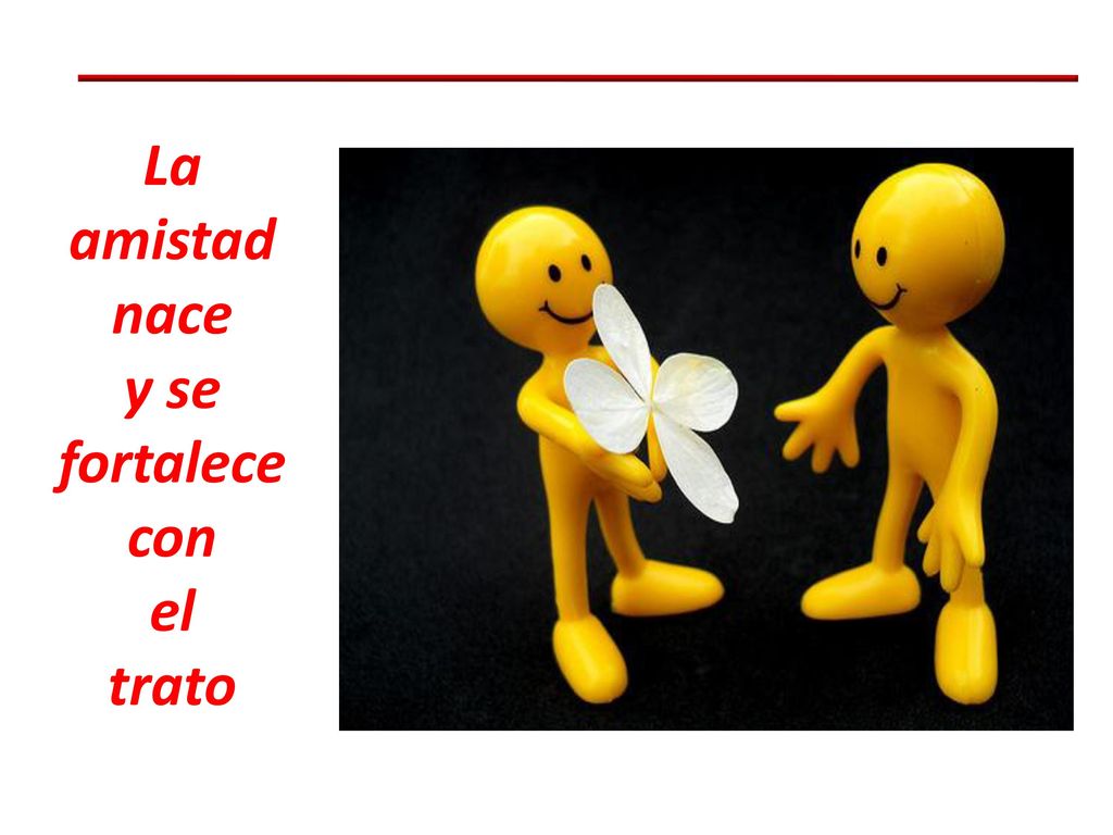 La amistad nace y se fortalece con el trato