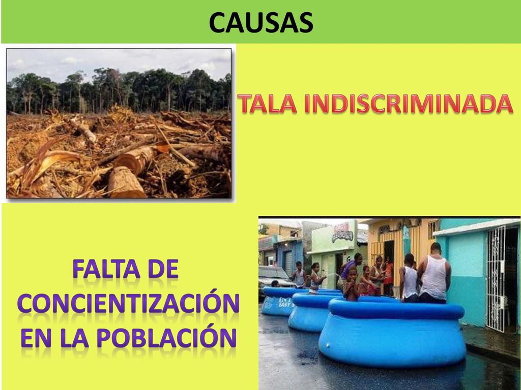 CAUSAS . TALA INDISCRIMINADA FALTA DE CONCIENTIZACIÓN EN LA POBLACIÓN