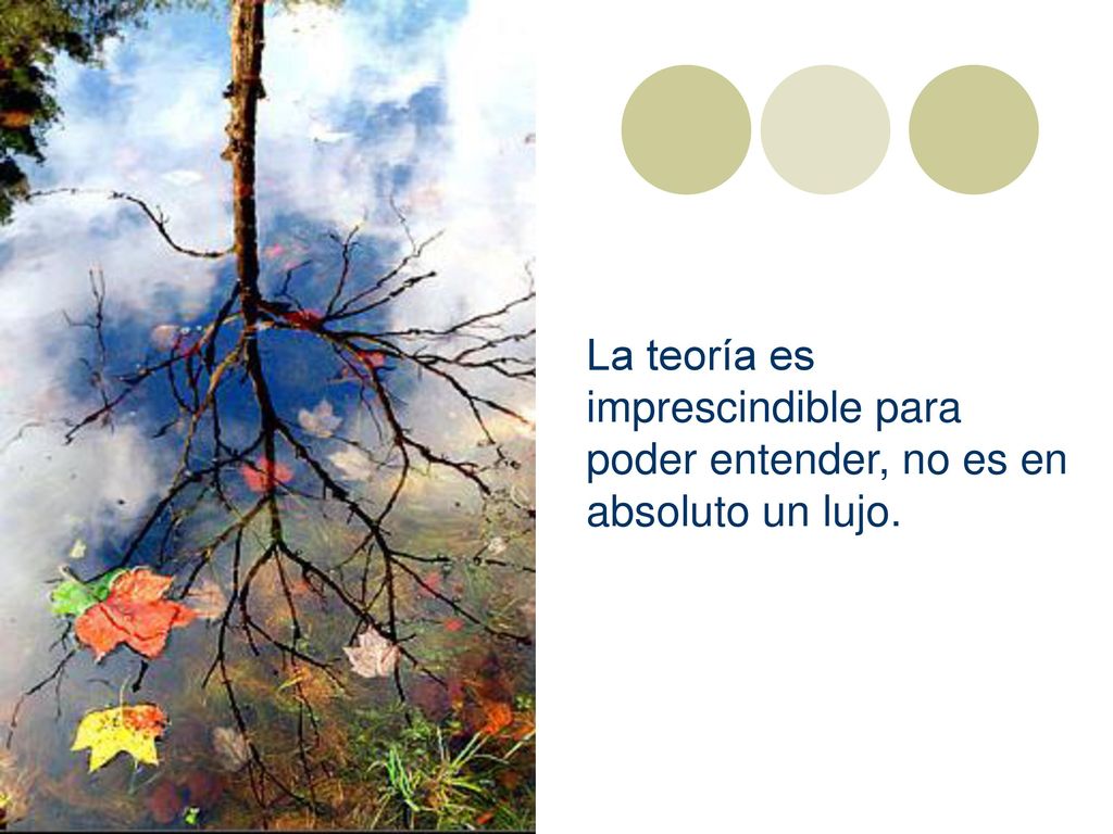 La teoría es imprescindible para poder entender, no es en absoluto un lujo.