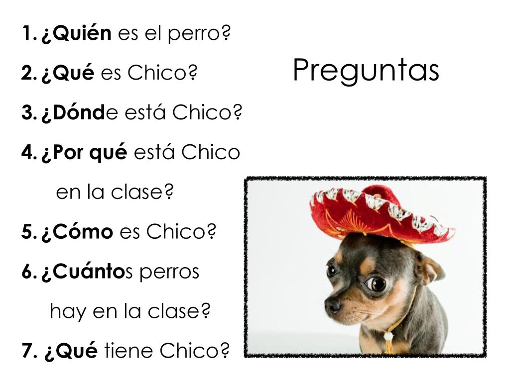 Preguntas ¿Quién es el perro ¿Qué es Chico ¿Dónde está Chico