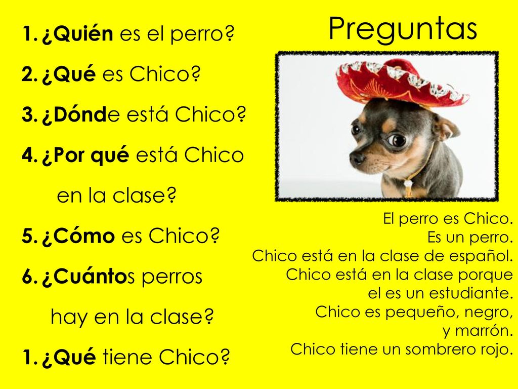 Preguntas ¿Quién es el perro ¿Qué es Chico ¿Dónde está Chico