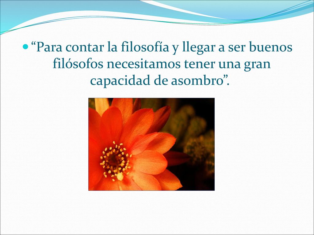 Para contar la filosofía y llegar a ser buenos filósofos necesitamos tener una gran capacidad de asombro .