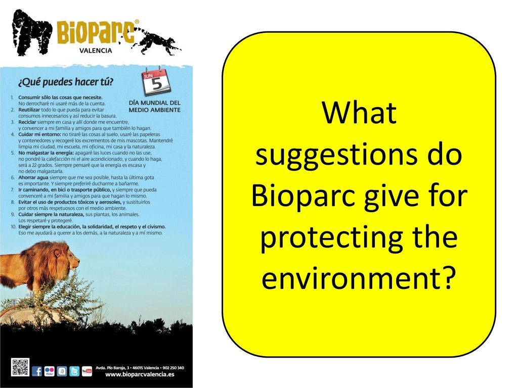 What suggestions do Bioparc give for protecting the environment