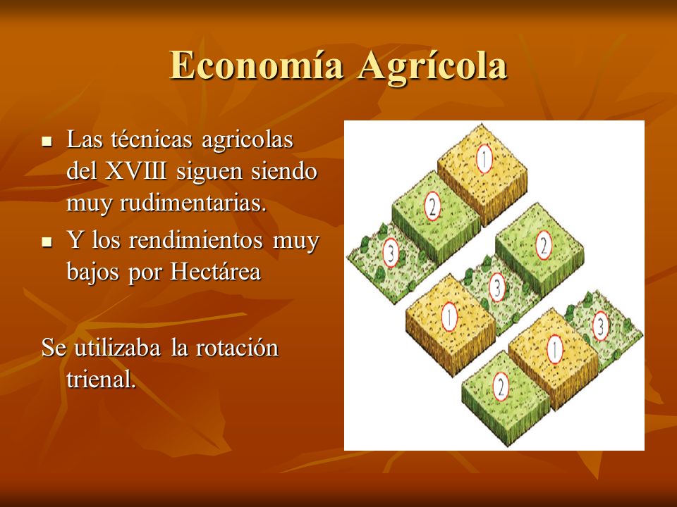 Economía Agrícola Las técnicas agricolas del XVIII siguen siendo muy rudimentarias. Y los rendimientos muy bajos por Hectárea.