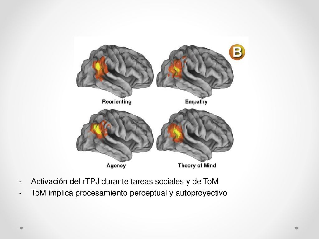 Reorientación y ToM Activación del rTPJ durante tareas sociales y de ToM.