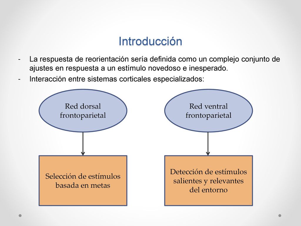 Introducción La respuesta de reorientación sería definida como un complejo conjunto de ajustes en respuesta a un estímulo novedoso e inesperado.
