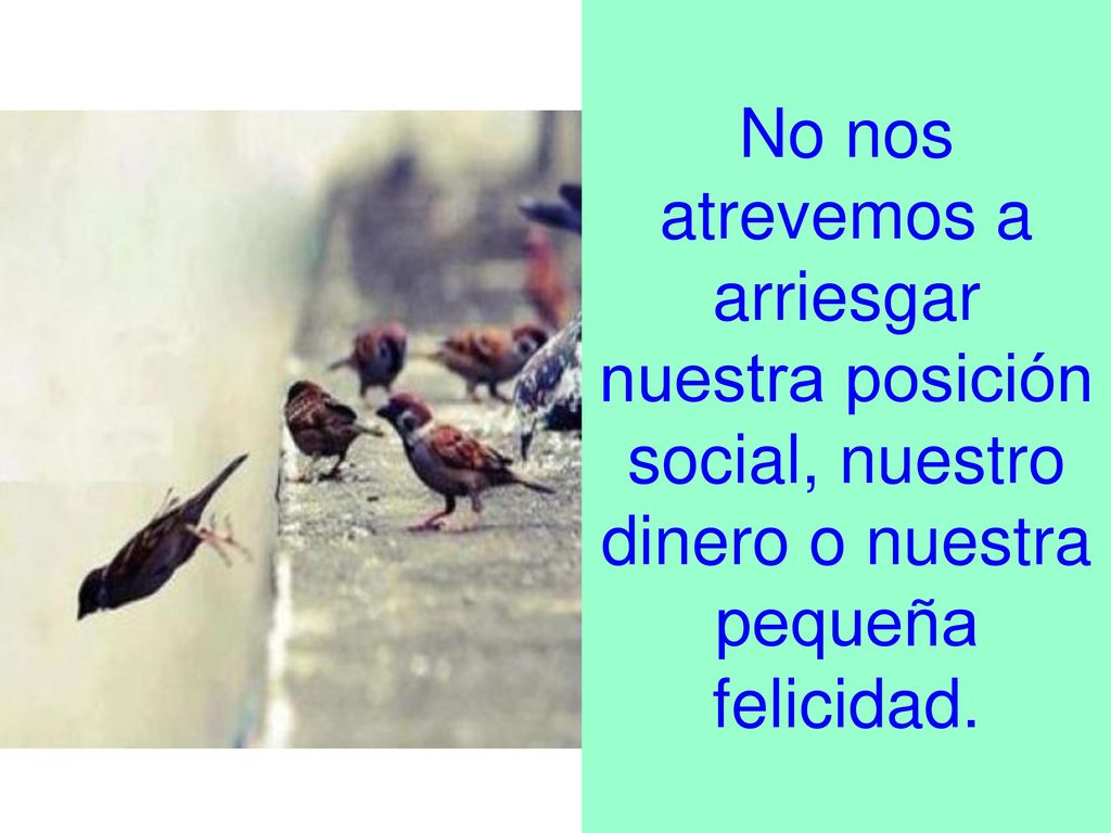 No nos atrevemos a arriesgar nuestra posición social, nuestro dinero o nuestra pequeña felicidad.
