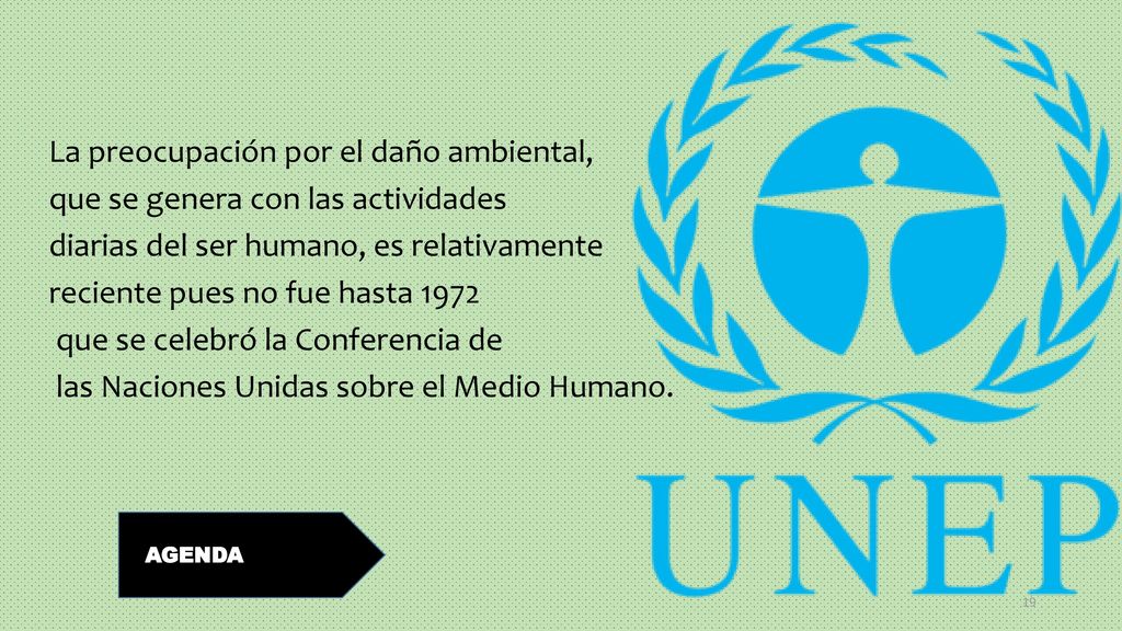 La preocupación por el daño ambiental, que se genera con las actividades diarias del ser humano, es relativamente reciente pues no fue hasta 1972 que se celebró la Conferencia de las Naciones Unidas sobre el Medio Humano.