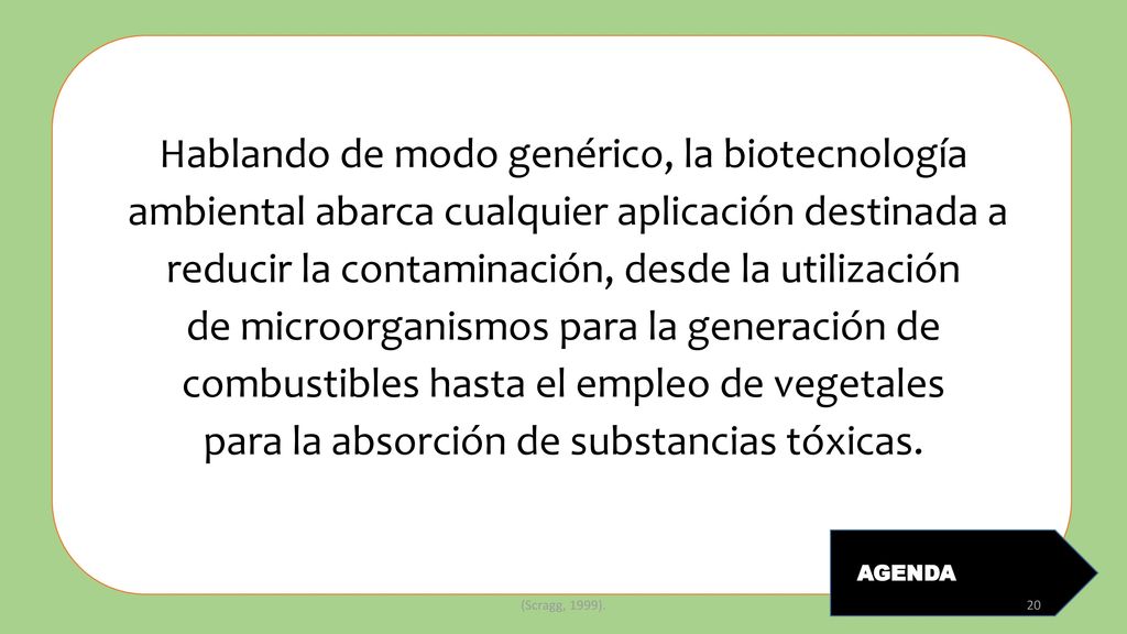 Hablando de modo genérico, la biotecnología ambiental abarca cualquier aplicación destinada a reducir la contaminación, desde la utilización de microorganismos para la generación de combustibles hasta el empleo de vegetales para la absorción de substancias tóxicas.