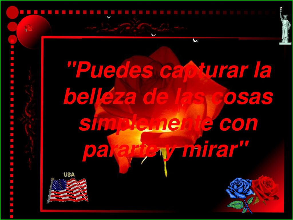 Puedes capturar la belleza de las cosas simplemente con pararte y mirar