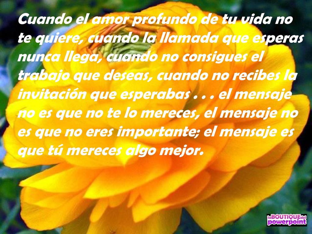 Cuando el amor profundo de tu vida no te quiere, cuando la llamada que esperas nunca llega, cuando no consigues el trabajo que deseas, cuando no recibes la invitación que esperabas .