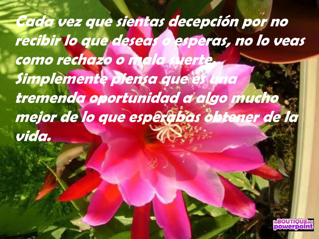 Cada vez que sientas decepción por no recibir lo que deseas o esperas, no lo veas como rechazo o mala suerte.