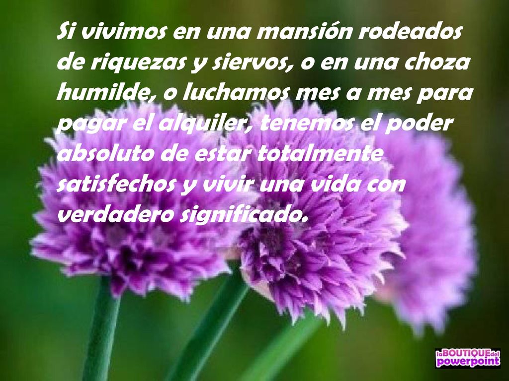 Si vivimos en una mansión rodeados de riquezas y siervos, o en una choza humilde, o luchamos mes a mes para pagar el alquiler, tenemos el poder absoluto de estar totalmente satisfechos y vivir una vida con verdadero significado.