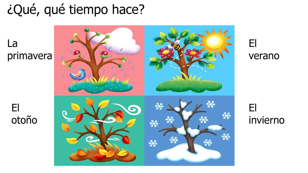 ¿Qué, qué tiempo hace La primavera El verano El otoño El invierno