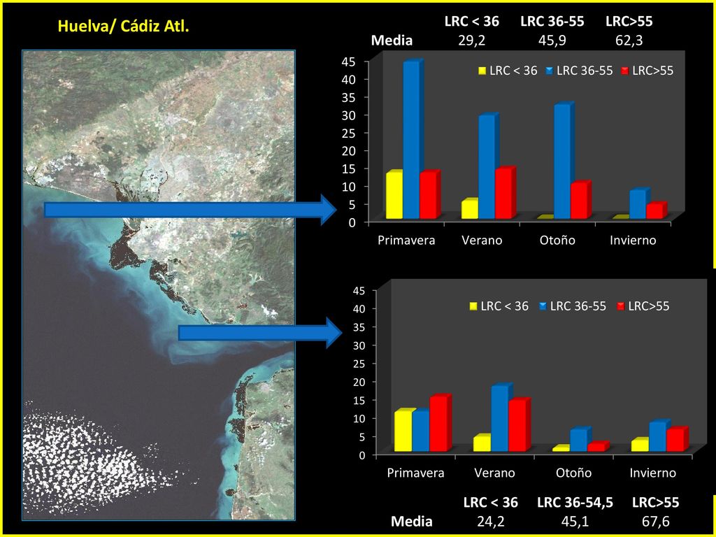Huelva/ Cádiz Atl. LRC < 36 LRC LRC>55 Media 29,2 45,9