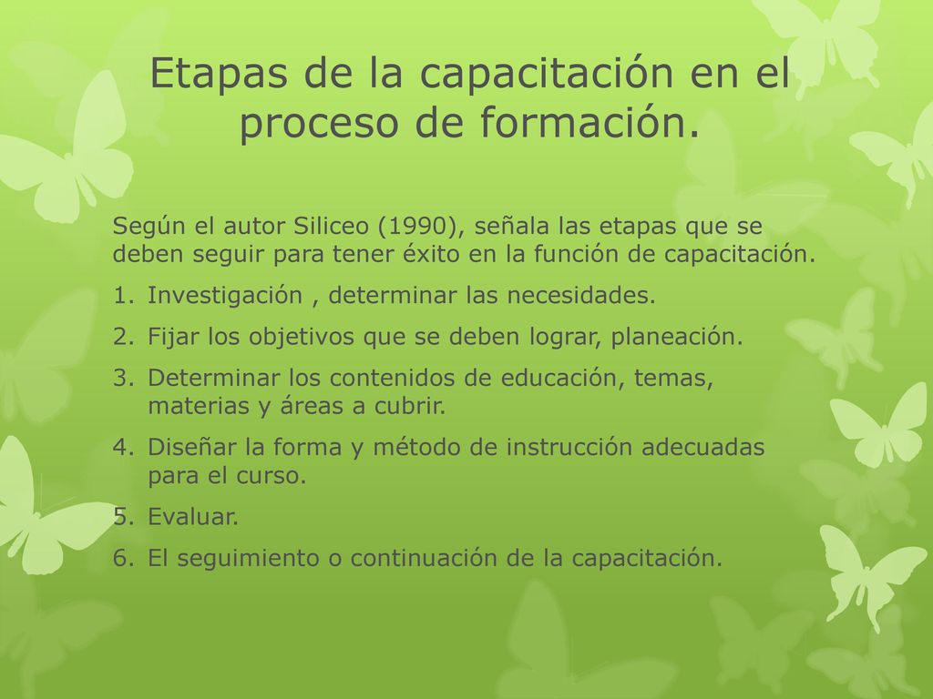 Etapas de la capacitación en el proceso de formación.