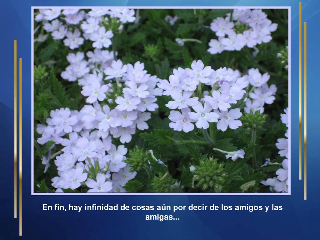 En fin, hay infinidad de cosas aún por decir de los amigos y las amigas...