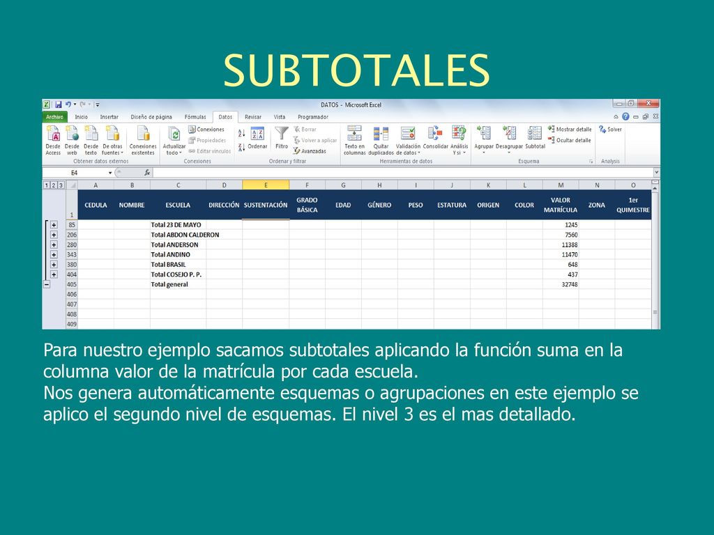 SUBTOTALES Para nuestro ejemplo sacamos subtotales aplicando la función suma en la columna valor de la matrícula por cada escuela.
