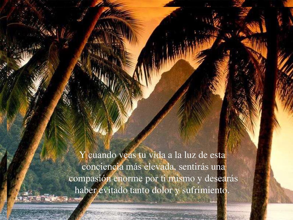Y cuando veas tu vida a la luz de esta