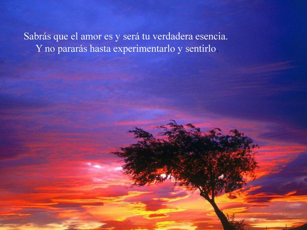 Sabrás que el amor es y será tu verdadera esencia.