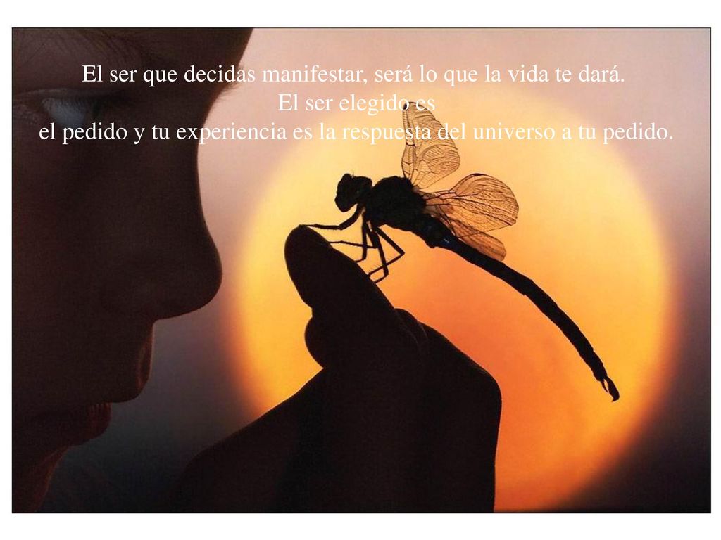 El ser que decidas manifestar, será lo que la vida te dará.