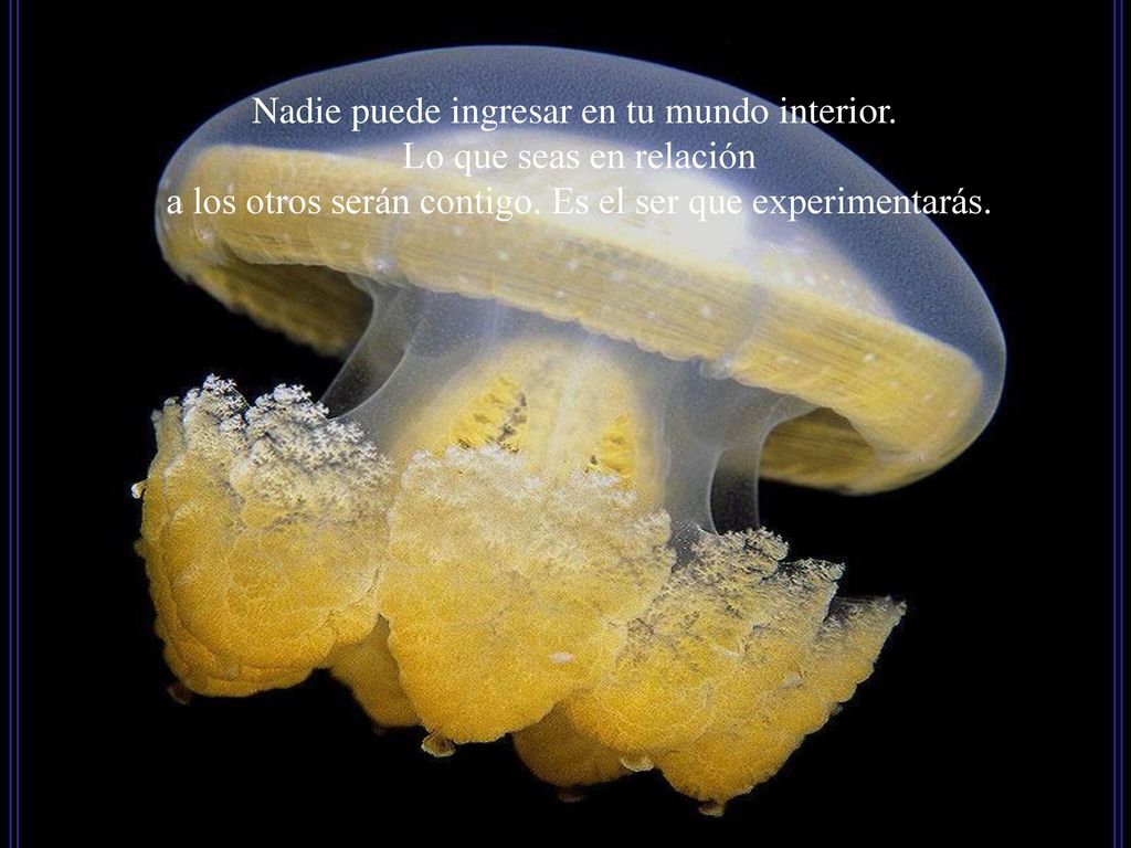 Nadie puede ingresar en tu mundo interior. Lo que seas en relación