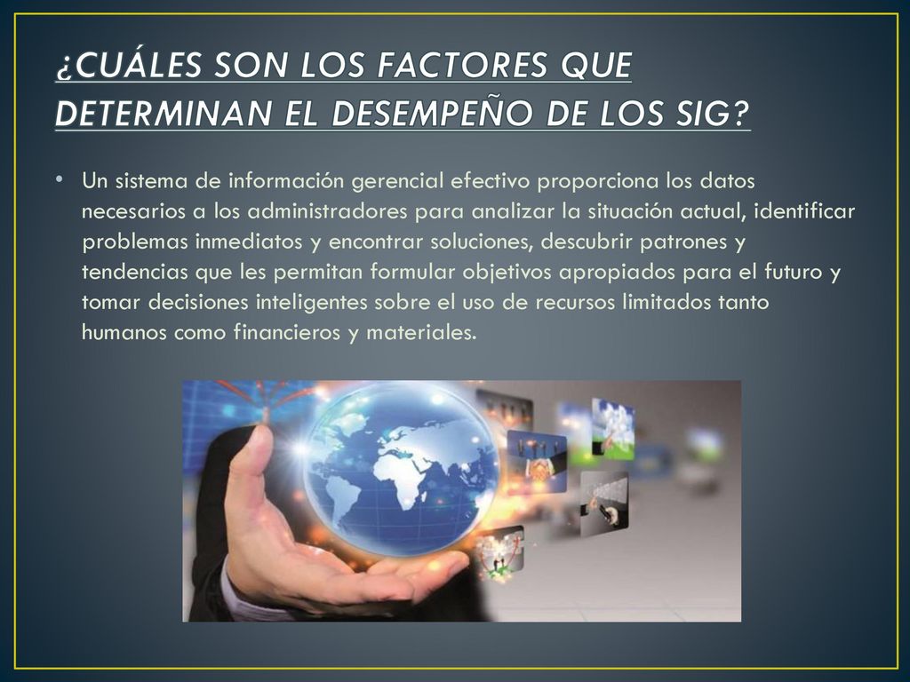 ¿CUÁLES SON LOS FACTORES QUE DETERMINAN EL DESEMPEÑO DE LOS SIG