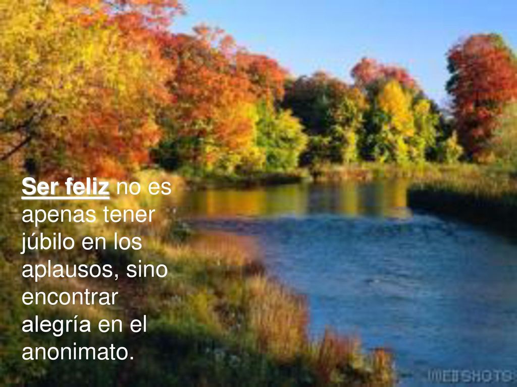 Ser feliz no es apenas tener júbilo en los aplausos, sino encontrar alegría en el anonimato.