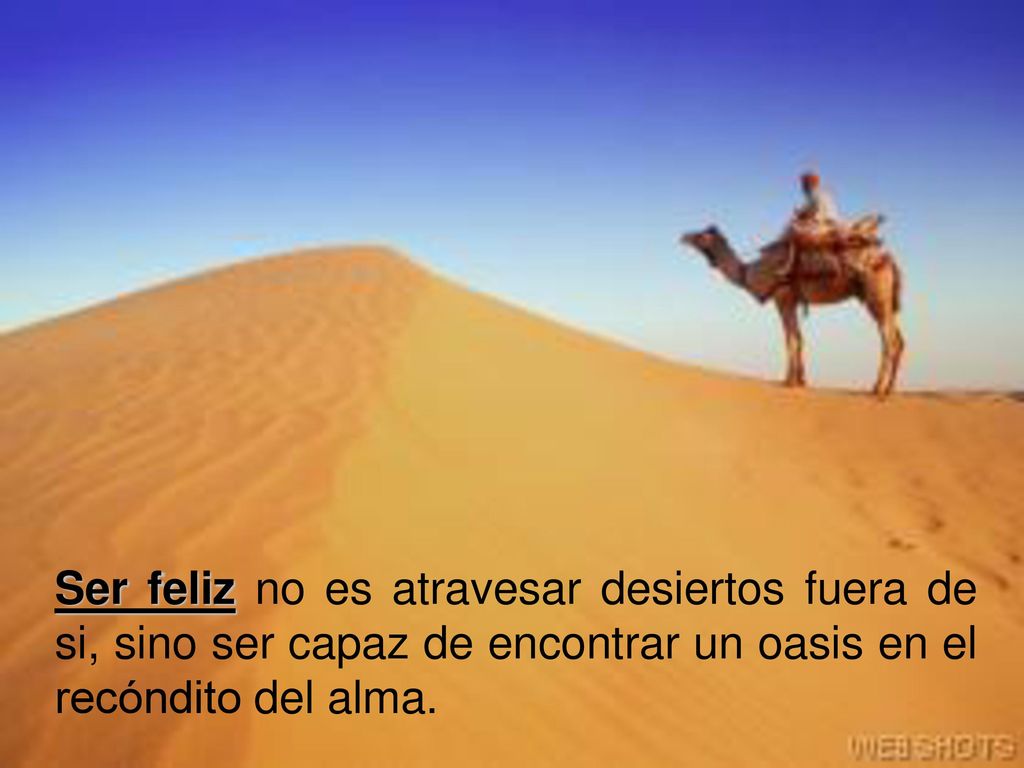 Ser feliz no es atravesar desiertos fuera de si, sino ser capaz de encontrar un oasis en el recóndito del alma.