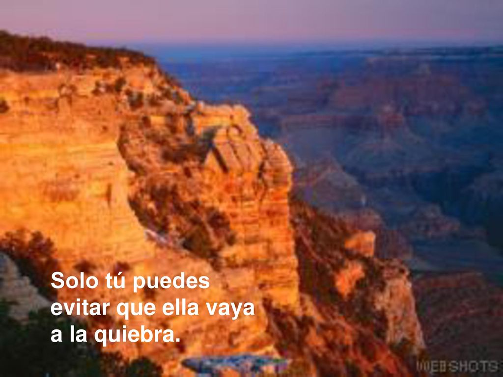 Solo tú puedes evitar que ella vaya a la quiebra.