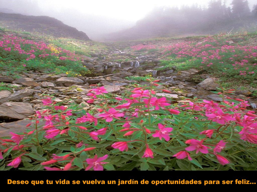 Deseo que tu vida se vuelva un jardín de oportunidades para ser feliz...
