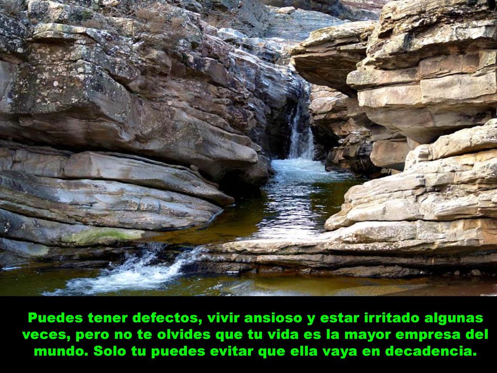 Puedes tener defectos, vivir ansioso y estar irritado algunas veces, pero no te olvides que tu vida es la mayor empresa del mundo.