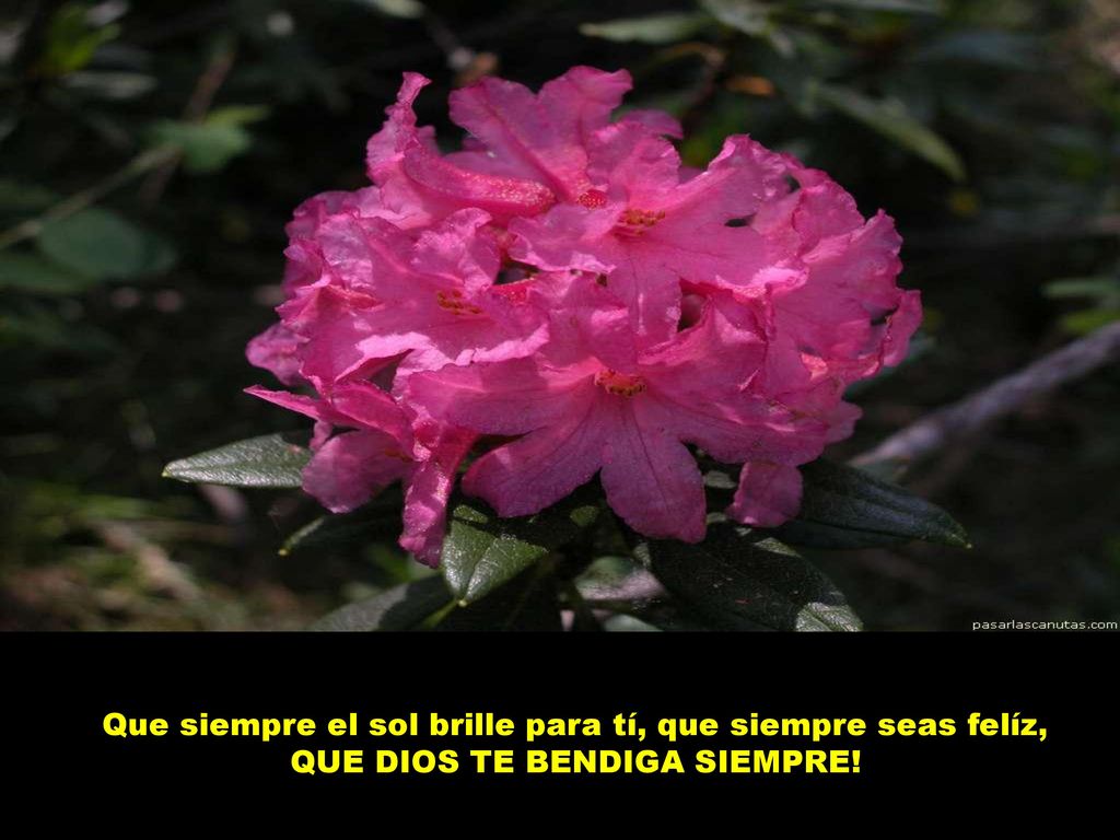 Que siempre el sol brille para tí, que siempre seas felíz, QUE DIOS TE BENDIGA SIEMPRE!
